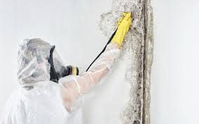 Best Mold Prevention Services  in Delaware, OH